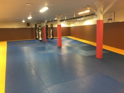Salle de combat principal - 210 mètres carrés de tatamis