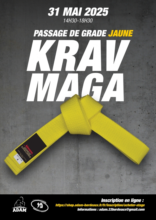 passage grade jaune Krav Maga